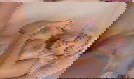 Married Blonde Slut Bridgette B. Opens All Her Holes to Pay for Car Crash [PornWorld]