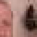 Profile picture of Pittbull530